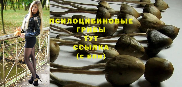 мдма Волоколамск