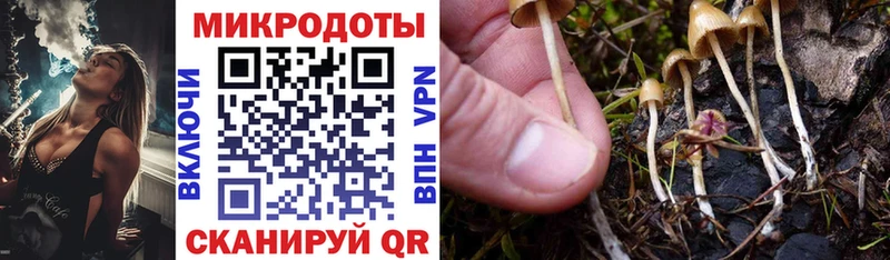 Купить закладки  Белореченск  Псилоцибиновые грибы Psilocybine cubensis 